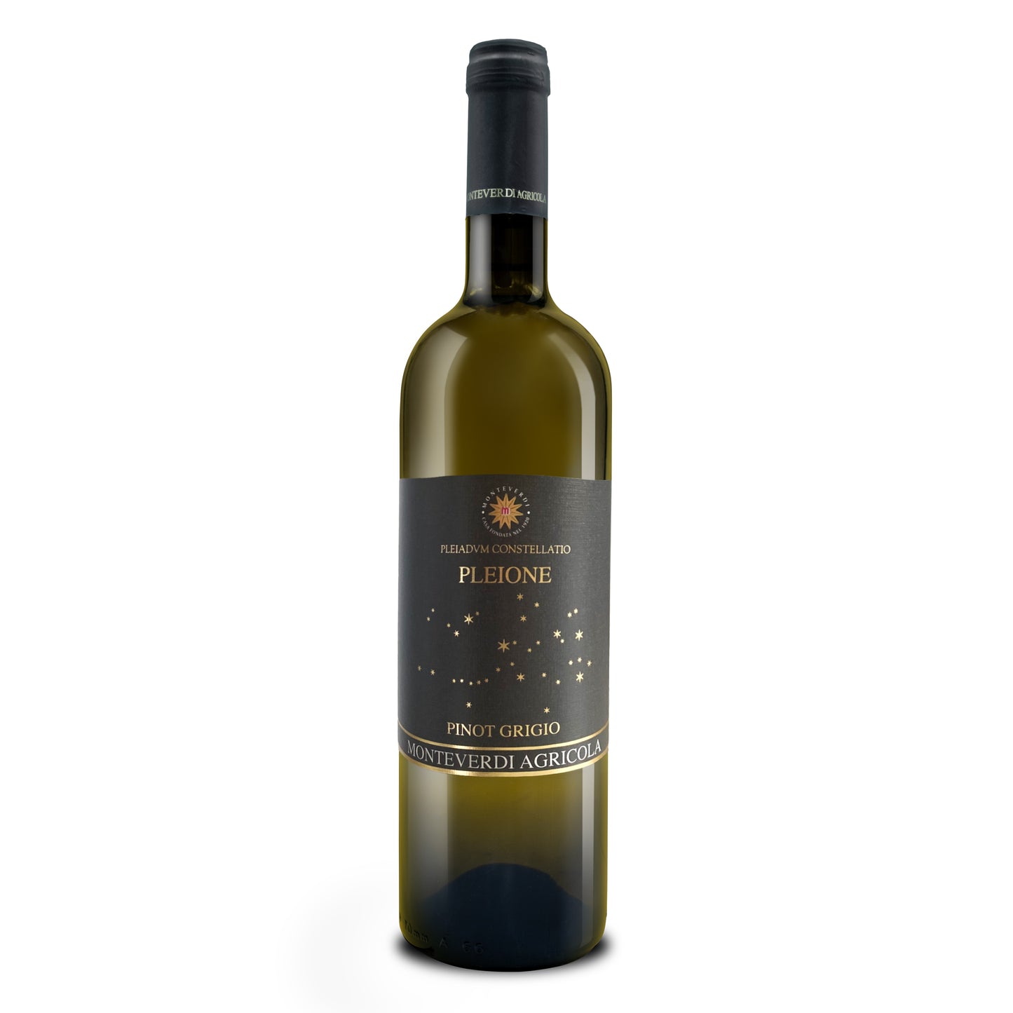 Pinot Grigio Emilia IGT "Pleione" - Monteverdi Agricola
