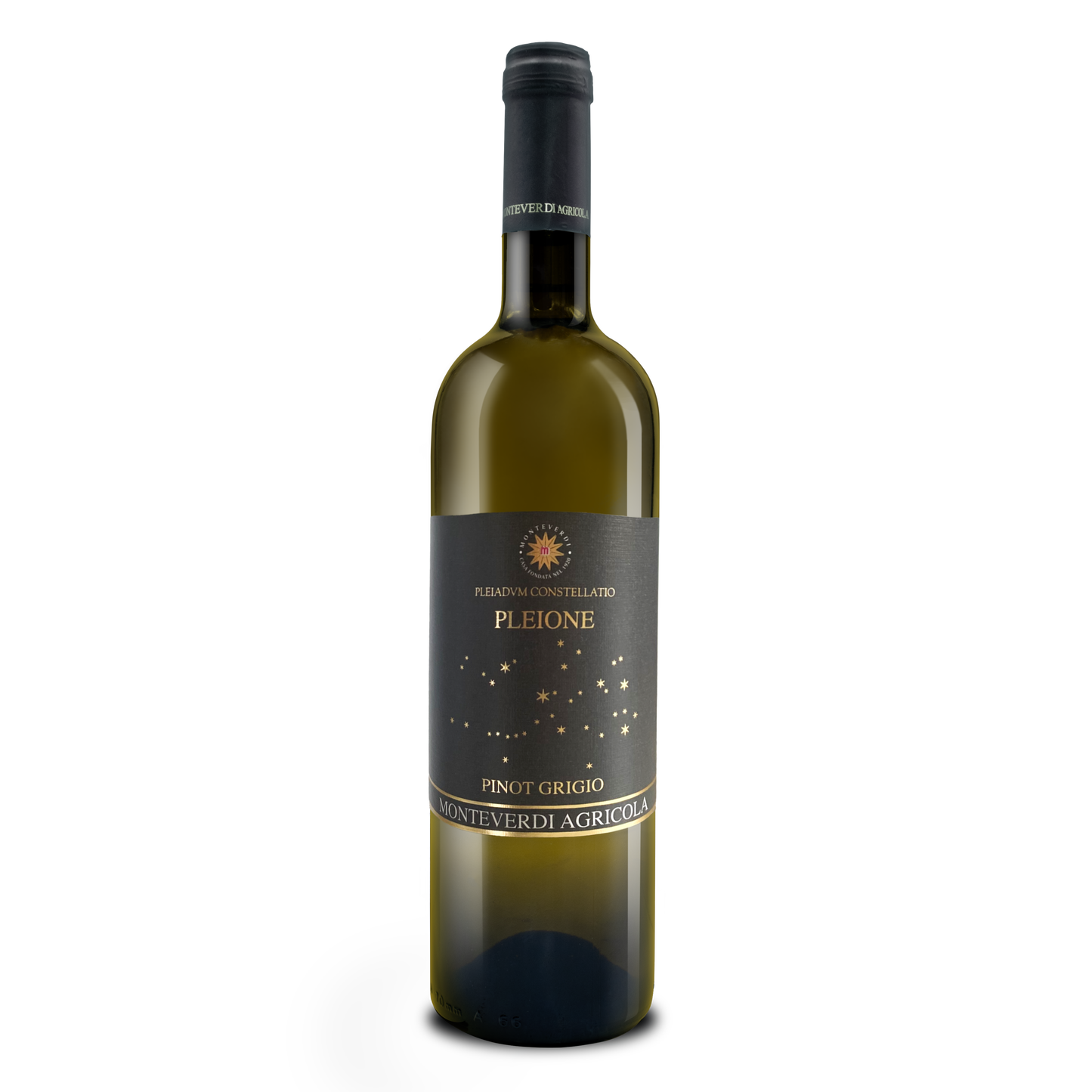 Pinot Grigio Emilia- MONTEVERDI AGRICOLA